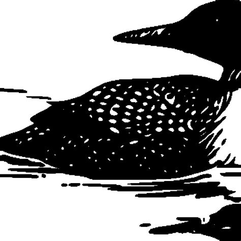 The best free Loon vector images. Download from 38 free vectors of Loon ...