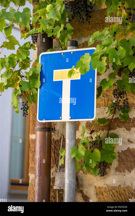 Overgrown no through road traffic sign Stock Photo - Alamy