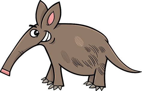 Best Aardvark Illustrations, Royalty-Free Vector Graphics & Clip Art - iStock