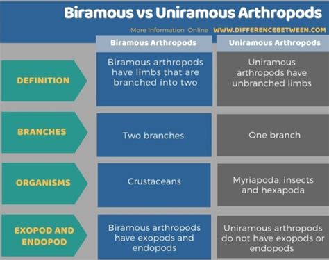 Arthropoda Biramous dan Uniramous dalam IPA, pengertian, perbedaan – www.sridianti.com