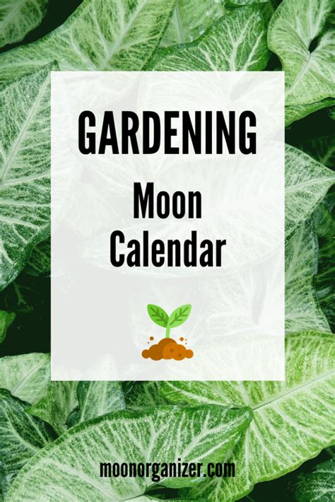 Gardening lunar calendar 2020 - planting by the Moon