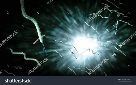 75 Amphitrichous Bacteria Images, Stock Photos & Vectors | Shutterstock