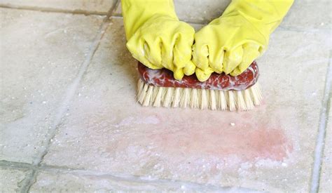 Tips for Cleaning Tile Floor Grout | ServiceWhale