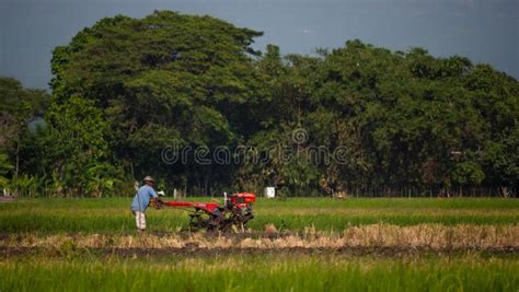 Farmer in Rice Field Indonesia Stock Image - Image of plowing, plow ...