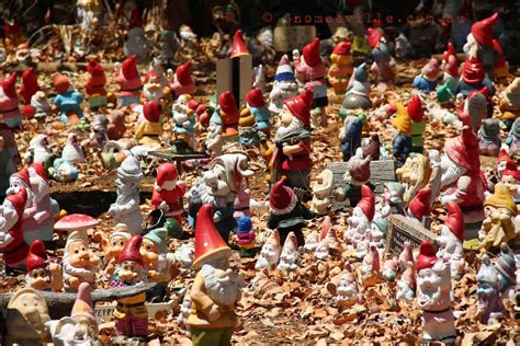 Thousands of Gnomes at Gnomesville