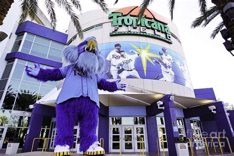 Tampa Bay Rays Mascot by Mlb Photos