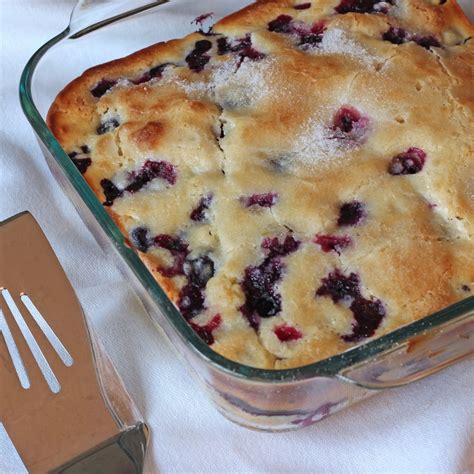 Blueberry Cake Recipe - (4.1/5)