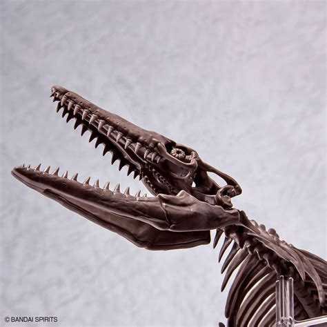 Imaginary Skeleton Mosasaurus | HLJ.com