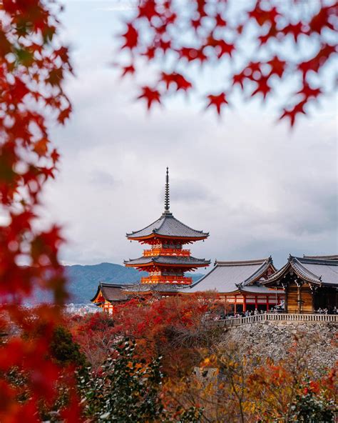 Kyoto in Autumn | Best Spots for Catching Fall Foliage