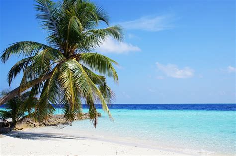 5 Most Incredible Tropical Islands to Visit in 2024