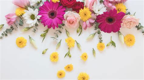 14 Most Popular Flowers for Each Season – Rosaholics