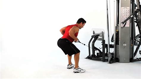 Bent-Over Barbell Row are Overrated & Better Alternatives — DMP Fitness