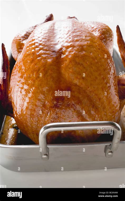 Stuffed roast turkey in roasting tin (close-up Stock Photo - Alamy