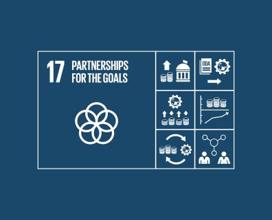 Objetivo 17: Partnerships for the goals | Joint SDG Fund