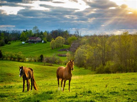 Tips to Prepare Your Horse for Spring - Deer Creek Structures