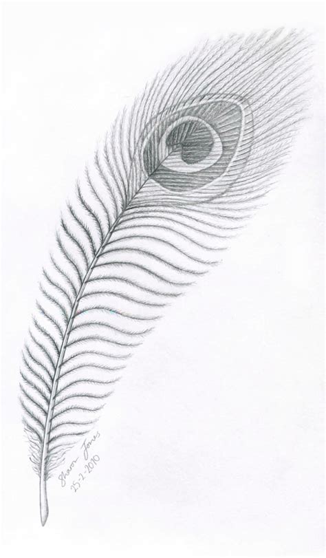 Feather Pencil Sketch at PaintingValley.com | Explore collection of Feather Pencil Sketch