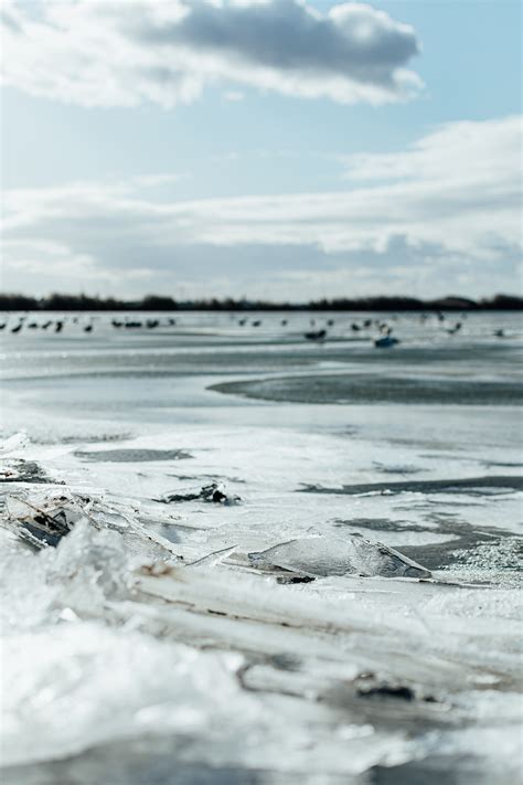 Winter Beach on Behance