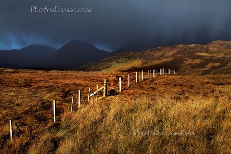 a grassy field with a fence and mountains in the background