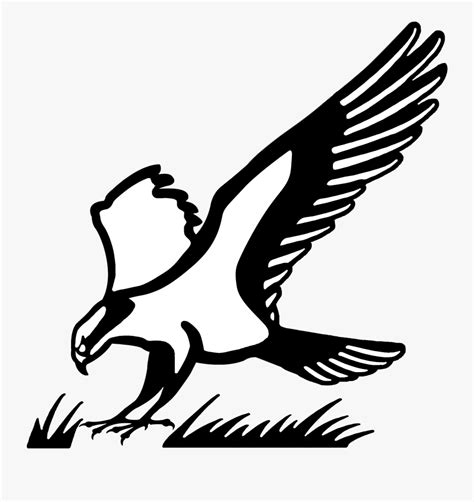 Osprey Bird Logo , Free Transparent Clipart - ClipartKey