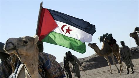 Front Polisario : info, vidéos, reportages et analyses - France 24