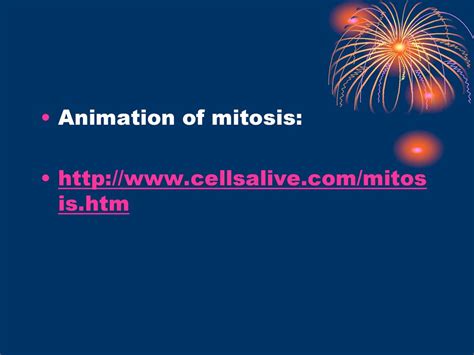 Mitosis & Meiosis What’s the difference?. - ppt download