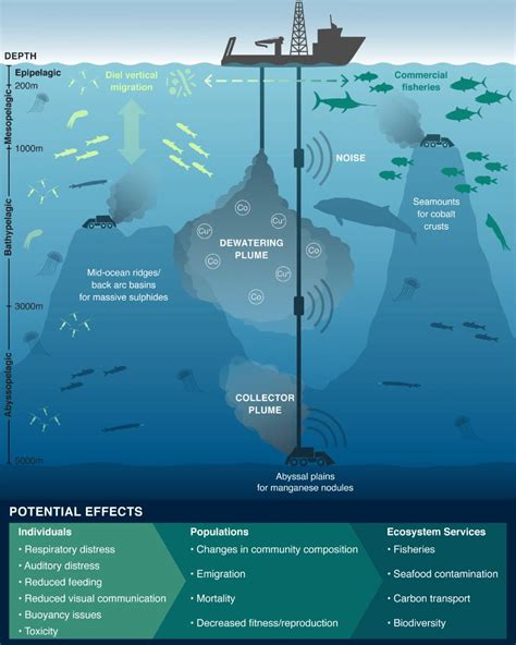 Deep-Sea Mining’s Dirty Dilemma | The Tyee