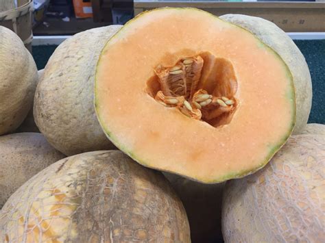 Is that really cantaloupe? 5 melon varieties you might not know | Food ...