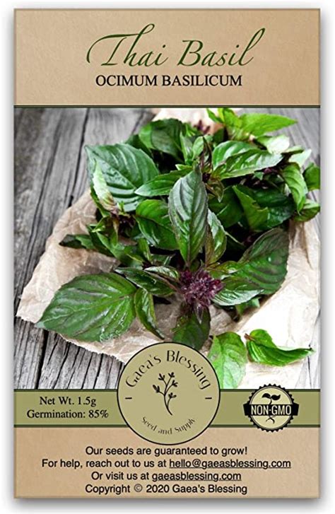 Amazon.com : Gaea's Blessing Thai Basil Seeds - Non-GMO - with Easy to ...