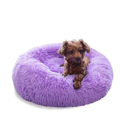 Is The Purple Dog Bed Worth It? A Comprehensive Review