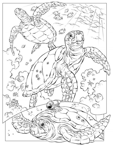 Free Printable Ocean Coloring Pages For Kids