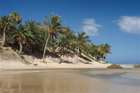 Fuerteventura Beaches - FuerteventuraGuide.com