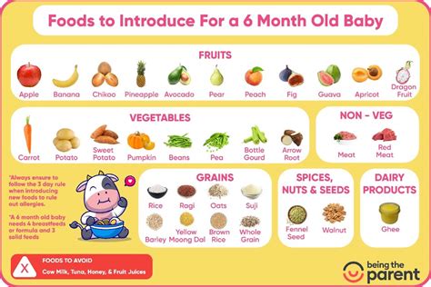 6 Month Baby Food Chart,Recipes,What to Give & Avoid with Time