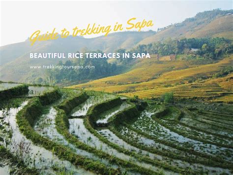 Journey To Serenity: Discover The Beautiful Rice Terraces In Sapa