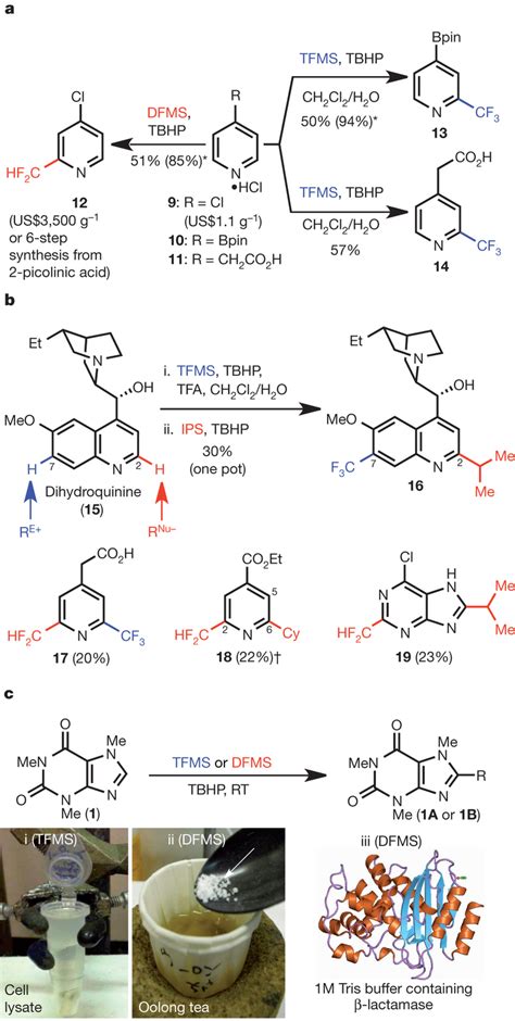 Chemoselectivity, rapid diversity and complexity generation, and... | Download Scientific Diagram