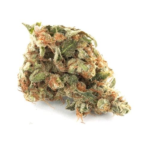 GSC - Strain Information - CannaConnection.com - Strain Information