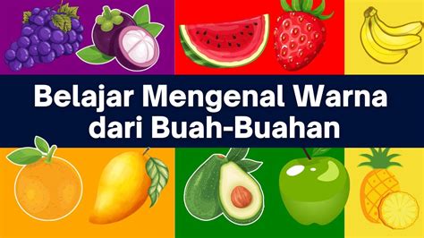 BELAJAR MENGENAL WARNA DARI BUAH-BUAHAN | Nama-Nama Buah dan Warnanya | Video Edukasi Anak - YouTube