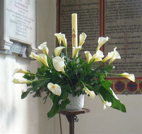 Old Buckenham blog: Easter lilies