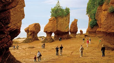 Bay of Fundy, New Brunswick, Canada - GlobeRovers