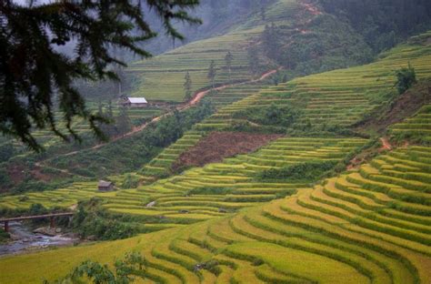 "Seeing" the Sa Pa Rice Terraces - Niteo Tours