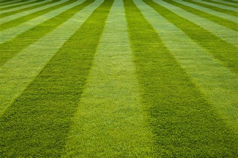 30 Ways to Mow the Lawn Safely & Effectively | INSTALL-IT-DIRECT