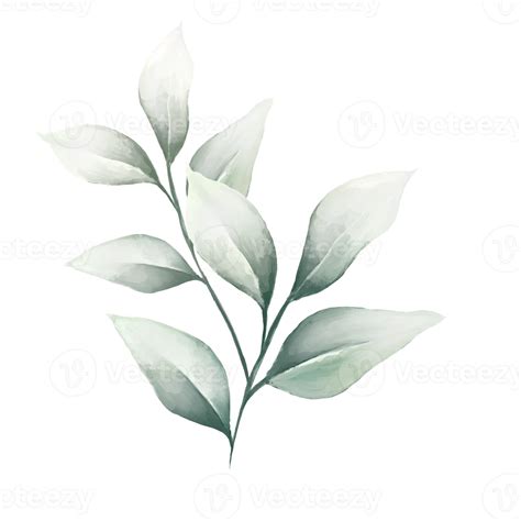 Watercolor leaves green 13812197 PNG