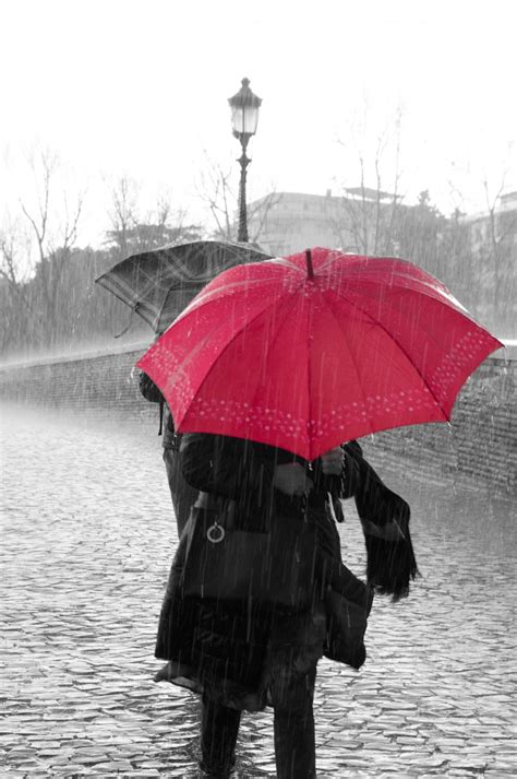Gambar : air, salju, musim dingin, hitam dan putih, merah, payung, cuaca, satu warna, tetes ...
