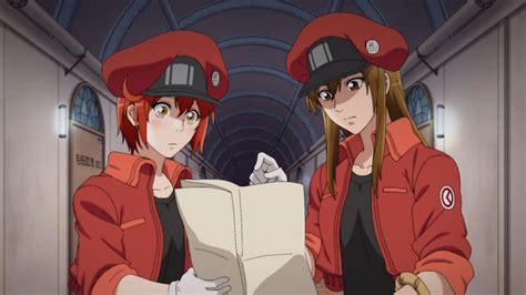 Cells at Work! | Anime-Planet