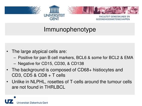 PPT - T-cell/histiocyte-rich large B cell lymphoma PowerPoint Presentation - ID:4689731