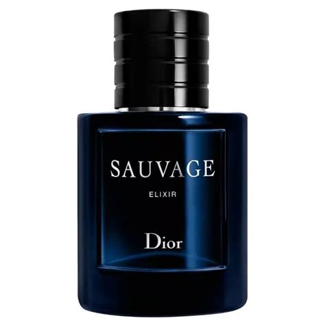 The 7 Best Colognes for Men of 2023 - Quizience