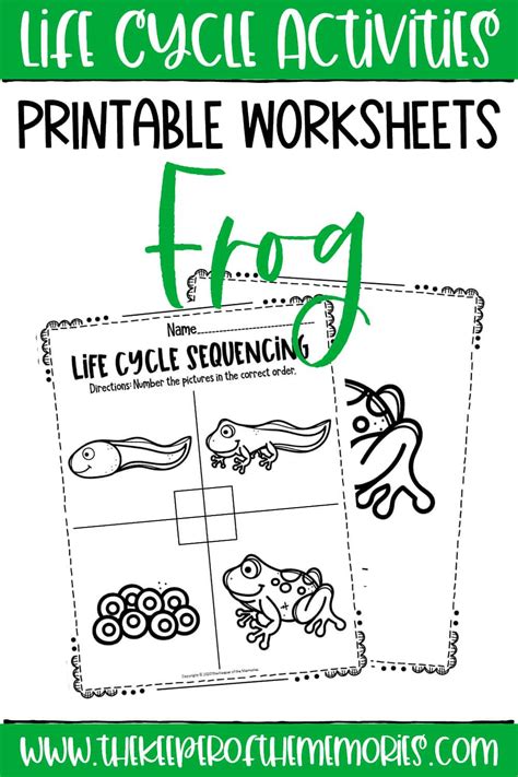 Free Printable Frog Life Cycle Worksheets - The Keeper of the Memories