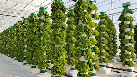 Vertical farms: Quest for all-year harvests promises to change shape of ...