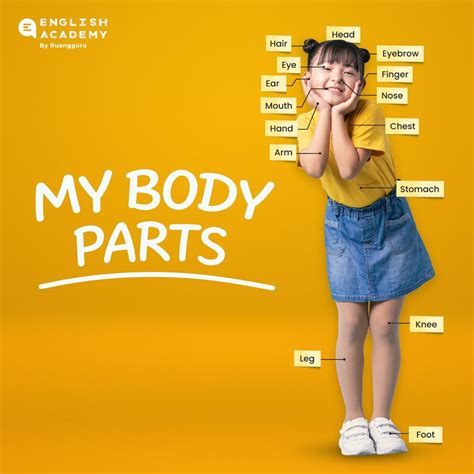 Parts of the Body: Mengenal Anggota Tubuh Manusia Bahasa Inggris ...