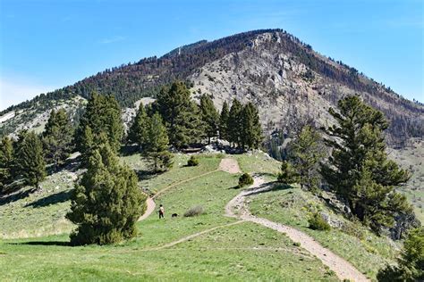 10 Best Hiking Trails near Bozeman, MT | PlanetWare