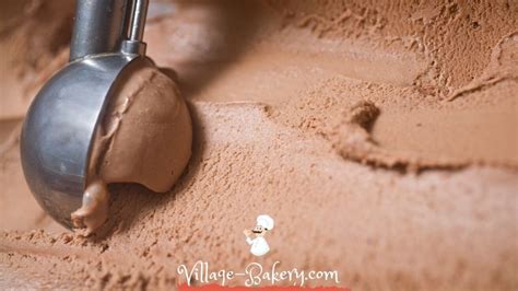 5 Best Ice Cream Scoop Reviews - Updated 2020 (A Must Read!)